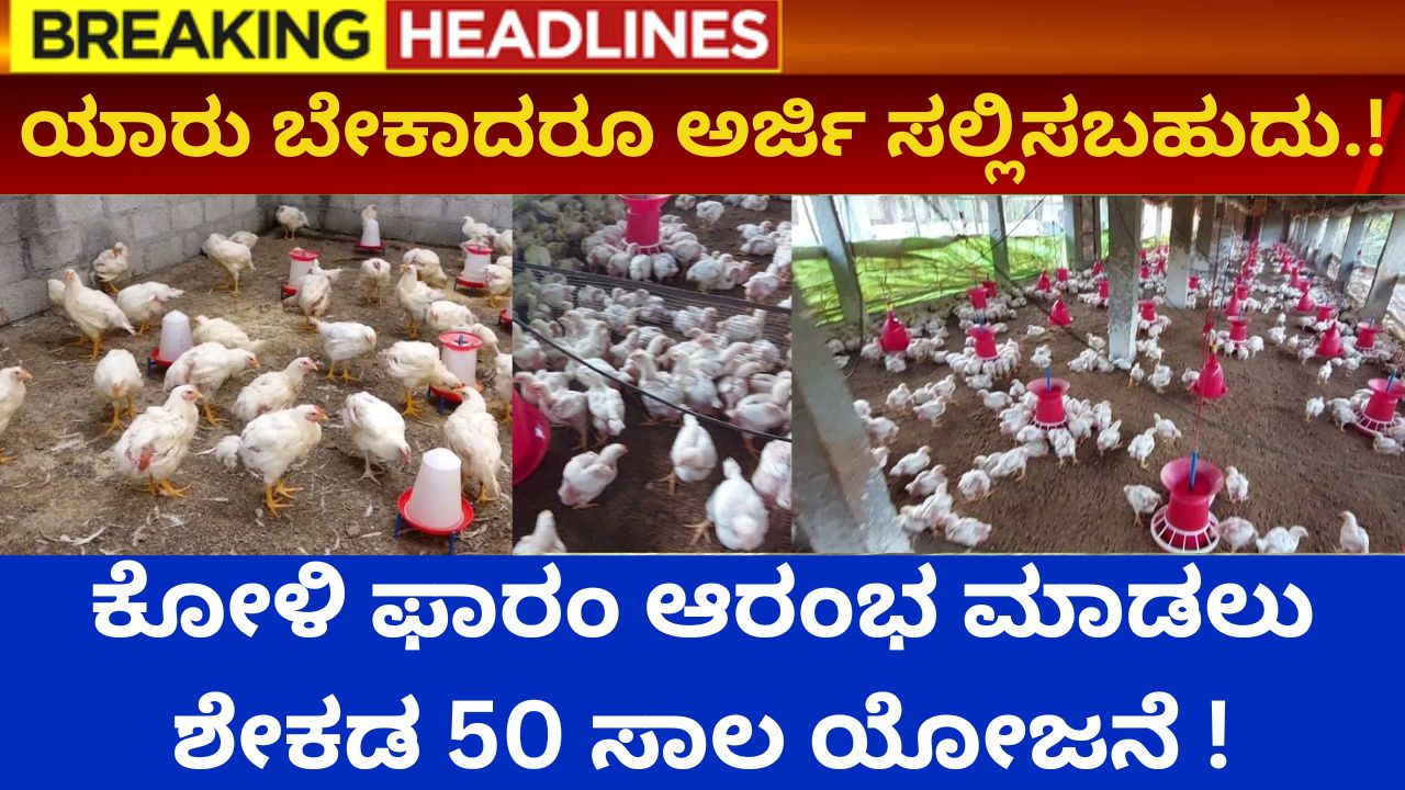 50 percent loan if you start a poultry farm