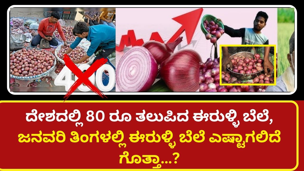 Onion price has crossed Rs.80, what will it be in January-2024