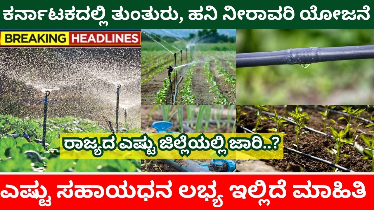 drip-irrigation-scheme