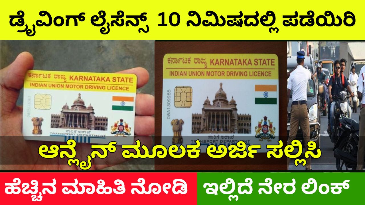 Get driving license in 10 minutes